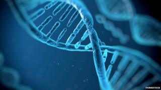 DNA