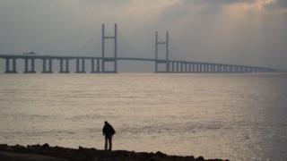 Pont