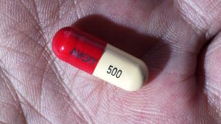 amoxycillin