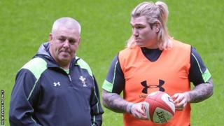 rygbi gatland hibard