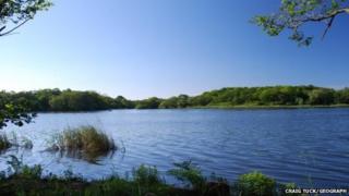 Ormesby Little Broad, Filby, Norfolk