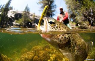 Fly fishing
