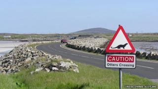Cabhsair na Fadhla a Deas