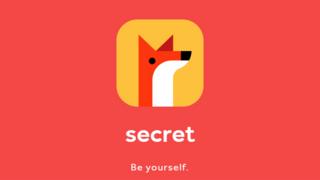 Секретный логотип приложения