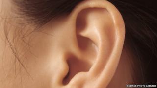 An ear