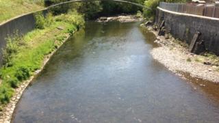 Afon Taf ym Mynwent y Crynwyr