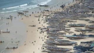 Fishing pirogues in Kayar, Senegal