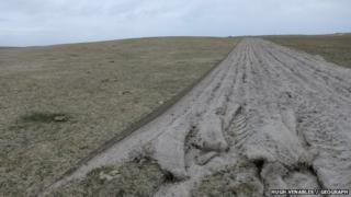 Treabhadh air a' mhachaire