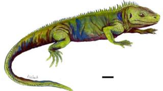 Reconstruction of what Clevosaurus sectumsemper may have looked like