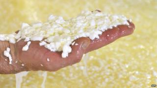 Cheese-maker in France