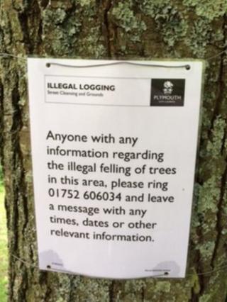 Logging
