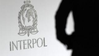 Interpol file pic