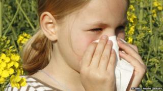 Child will allergy