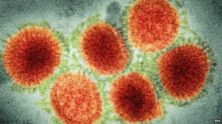 Flu virus