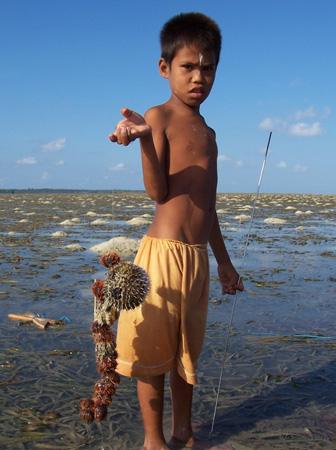 An indigenous child fisher in Indonesia collecting urchins and porcupine fish in seagrass