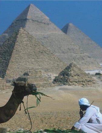 A man sits with a camel before the pyramids