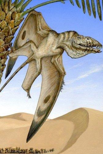 Illustration of a winged reptile with a long tail and long jaw, hanging from a palm tree in the desert