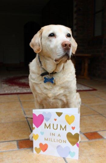 Connie with a Mother's Day card saying 'Mum in a million'