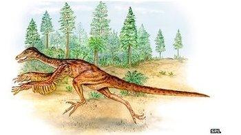 Sinornithosaurus