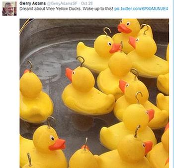 Twitter pic of ducks