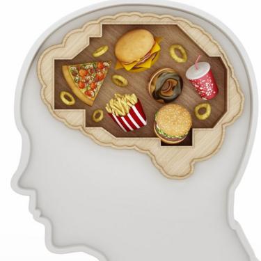 Comida chatarra en cerebro