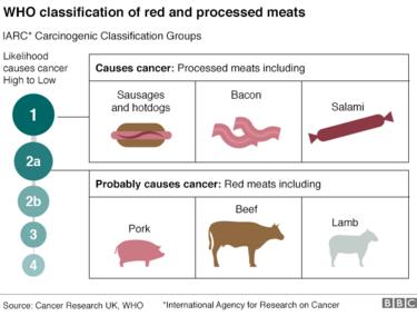 gráfico: Classificação dos produtos à base de carne transformados vermelhos