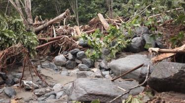 Bongkahan batu dan pohon yang menerjang kawasan lereng Pegunungan Cycplos.