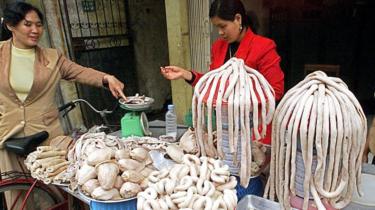 "Ăn chín, uống sôi, rửa tay trước khi ăn" là biện pháp phòng ngừa đầu tiên