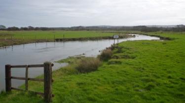 The Frome: A chalk stream