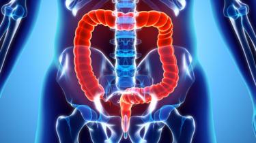 Ilustración de los intestinos y colon