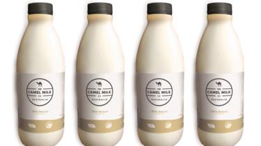 a Camel Milk Co Australia 