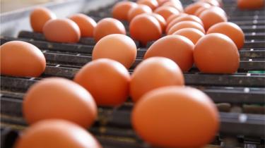 Huevos