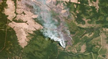 النيران تلتهم غابات الأمازون بمعدلات هي الأضخم منذ عشر سنوات