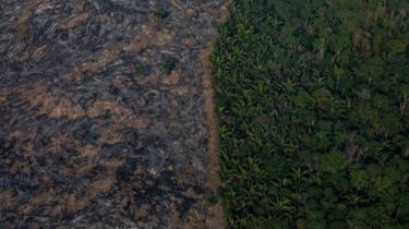 Dégâts causés par un incendie près de Porto Velho, au Brésil.