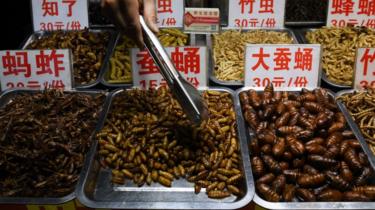 Edible insects and bugs seen for in Nanning, Guangxi Region, China.