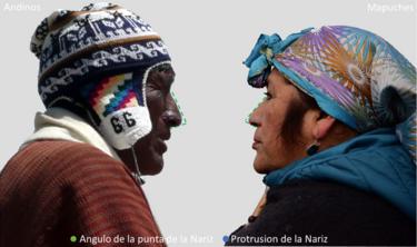 Diferencias de la forma de la nariz en personas con ancestría andina o mapuche