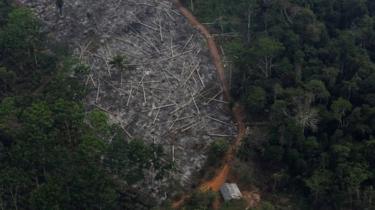 Una vista aerea di un terreno disboscato dell'Amazzonia nella foresta nazionale di Bom Futuro a Porto Velho, Stato di Rondonia, Brasile, 3 settembre, 2015