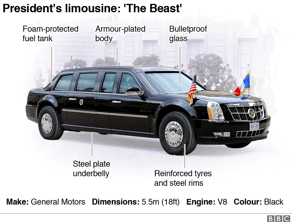 Infographic of the Beast