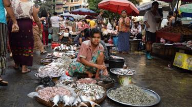 Commerciante che vende pesce in un mercato in Myanmar