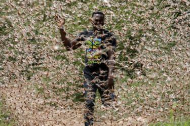 en man går genom en öken gräshoppa svärm
