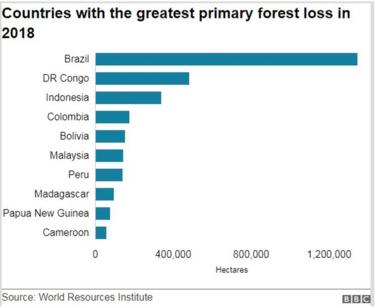 graphic primary forest loss