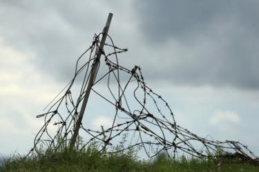 Barbed wire on the WWI Battle Field of Verdun, France