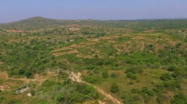 முல்லை நிலம்