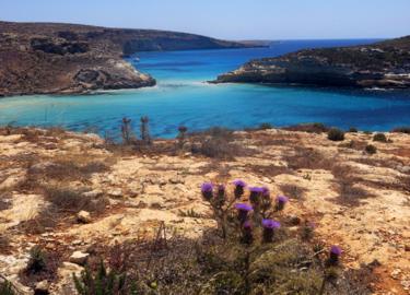 Lampedusa landschap
