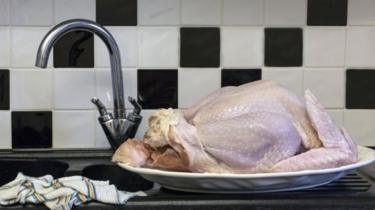 Pollo