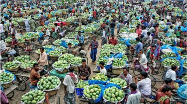 আমের আড়ত।