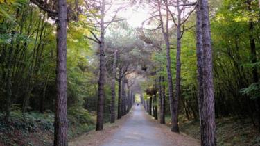 Visitors walk on a walking track in Belgrad Forest on an autumn day in Istanbul, Turkey