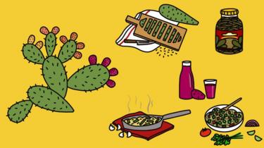 Ilustração de cacto