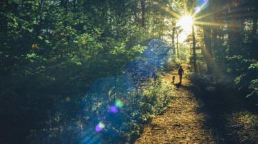 Appalachian Trail