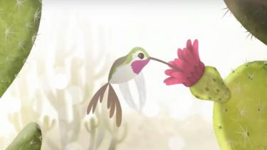 Pantalla de la película de animación sobre los bosques secos (Imagen: DryFlor)